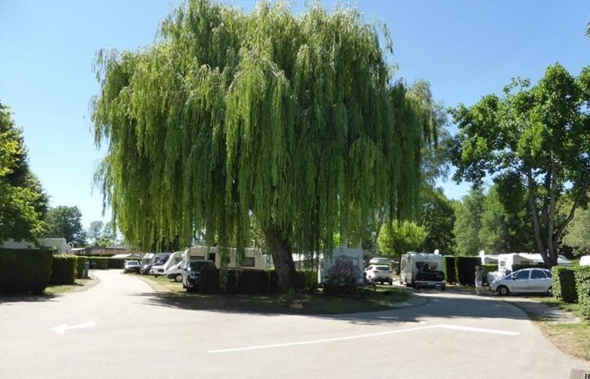 Camping Du Paquier Fané Chagny  Exterior foto